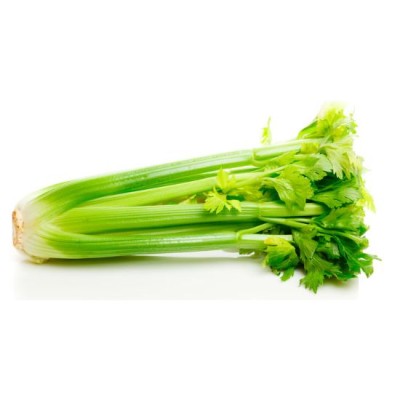 Celery Stem (+ -1kg) [KLANG VALLEY ONLY]