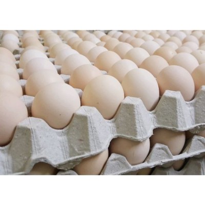 Eggs-Kampung Tray of 30 [KLANG VALLEY ONLY]