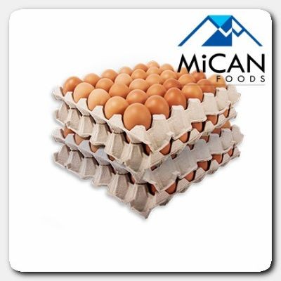 Chicken Egg [Grade A, XL] | Telur Ayam (30 pcs tray)