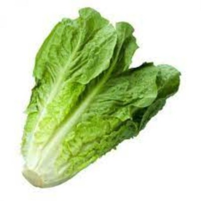 Romaine 1kg [KLANG VALLEY ONLY]