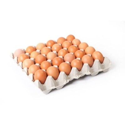 Egg (Grade AA) 1 Tray