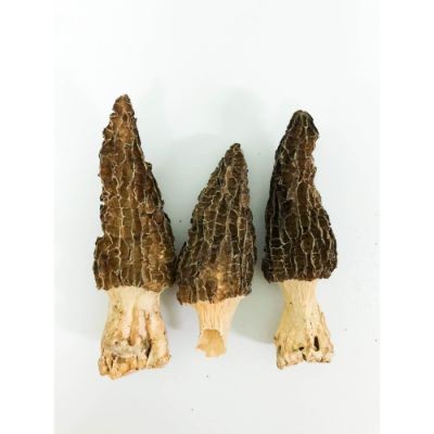 Morel Mushrooms 35g (1 Units Per Carton)