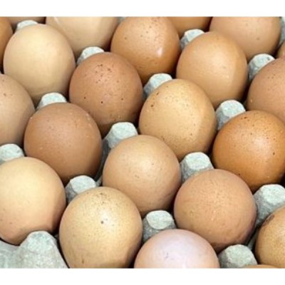 Telur Grade AAA (30 units per Tray)