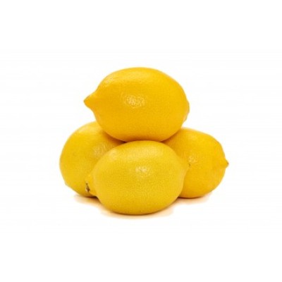 Lemon - Egypt 113pcs