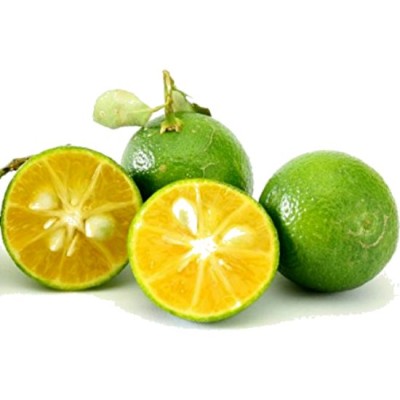 Small Lime Calamansi Limau Kasturi 500g [KLANG VALLEY ONLY]