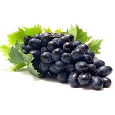 Black Seedless Grape - USA (10box per carton)