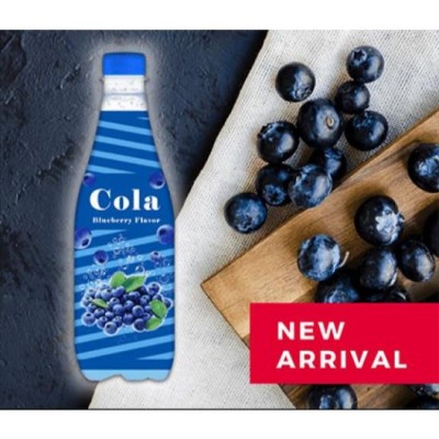 PERE OCEAN BLUEBERRY SOFT DRINKS 400ML x 24 units