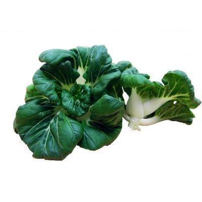 Hong Kong Nai Pak Vegetable (sold by kg)