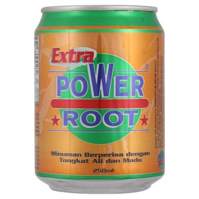 P. ROOT EXTRA POWER WITH HONEY CAN 250ML 24 X 250ML
