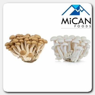 Shimeji Mushroom [White , Brown] | Cendawan Shimeji [Putih , Perang] (230G Per Unit)