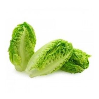Baby Romaine (sold by kg)