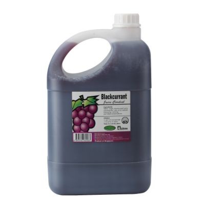 Concentrated Fruit Juice - Black Currant (12 Units Per Carton)