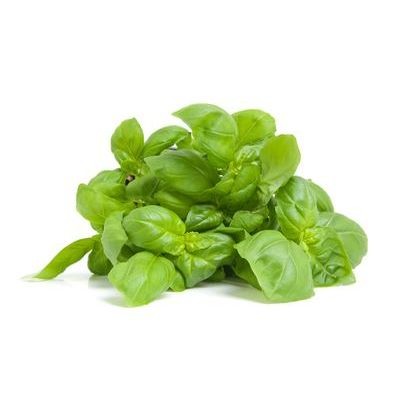Basil 50g pack (sold by pack)