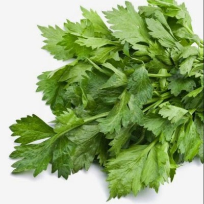 Celery Leaves - Daun Sup (1 Bunch)