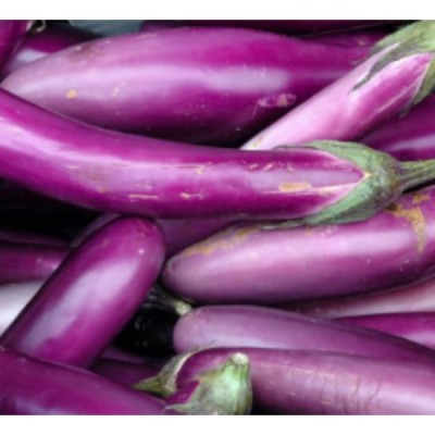 Eggplant Terung M 500g [KLANG VALLEY ONLY]