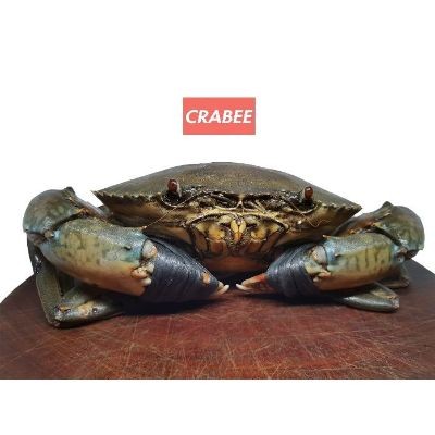 Crabee's Live crabs (400-500g) picked (20kg) (1 Units Per Carton)
