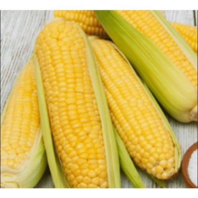 Jagung Ipoh Sweet Corn (Pack of 4) [KLANG VALLEY ONLY]