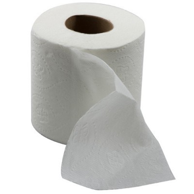 Toilet Roll 2 Ply Virgin Pulp (100 Units Per Carton)