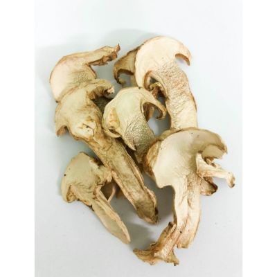 Matsutake Mushrooms 35g (1 Units Per Carton)