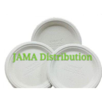 Biodegradable and Compostable 9' Plate (800 Units Per Carton)