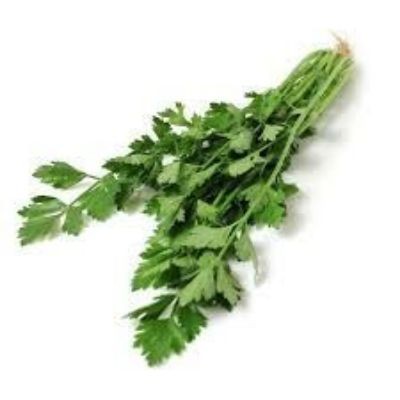 English Parsley (sold by kg)