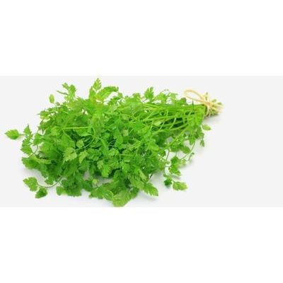 Chervil (sold by kg)