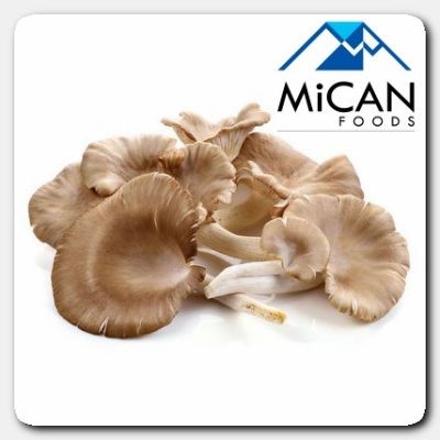 Oyster Mushroom | Cendawan Tiram (100G Per Unit)