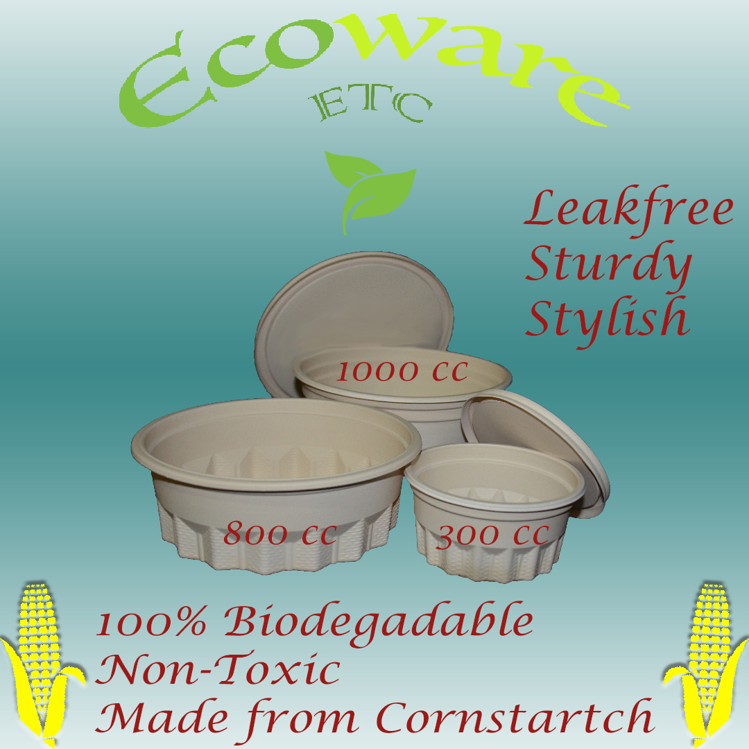 Leakfree & Compostable (Corn Starch) Bowl 800CC (120 Sets Carton)