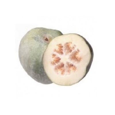[PRE Order] Winter Melon (1 KG Per Unit)