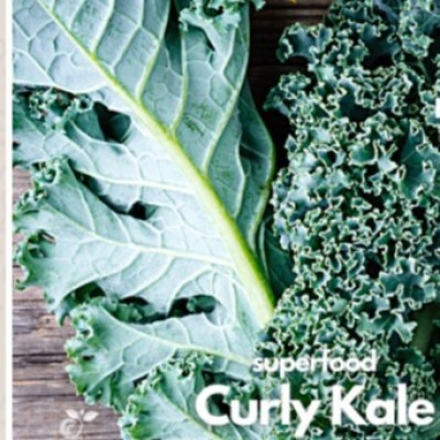 Hydroponic Curly Kale 100g