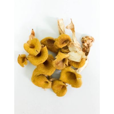 Chanterelles Mushrooms 35g (1 Units Per Carton)