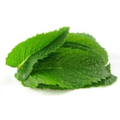 Mint Leaves (sold by kg)