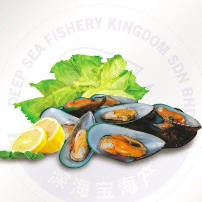 Half Shell Green Mussel (1 Units Per Outer)
