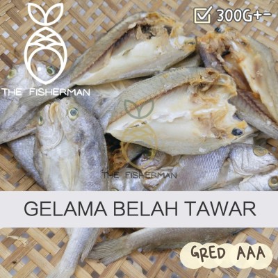 [Borong Wholesale] Ikan Masin Gelama Belah Tawar (10 KG Carton) - The Fisherman