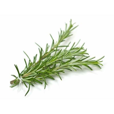 Rosemary 50g pack (sold by pack)