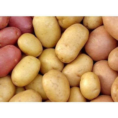 US Potato (sold by kg)