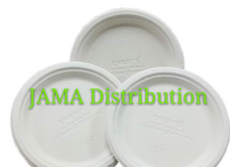 Biodegradable and Compostable 9' Plate (800 Units Per Carton)