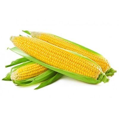 Corn (sold by piece)