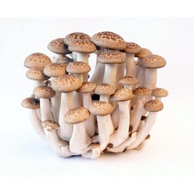 Shimeji Mushroom 125g pack (sold by pack)