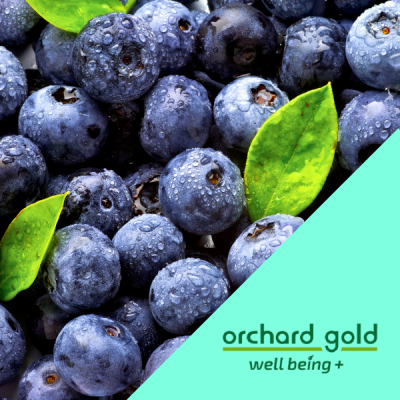 ORCHARD GOLD BLUEBERRY 500G (8 Units Per Carton)