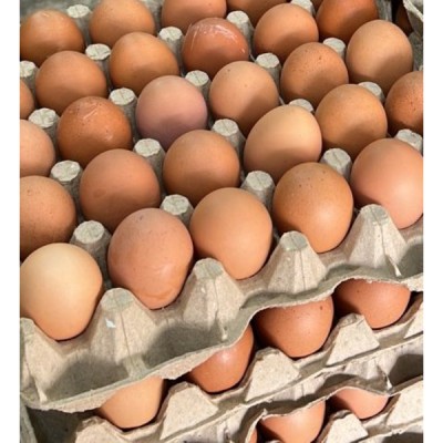 Telur Grade AA (30 units per Tray)