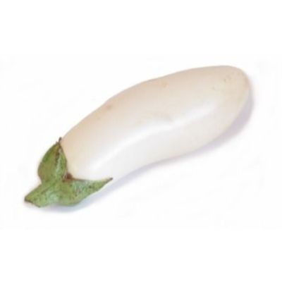 Green White Eggplant (sold by kg)