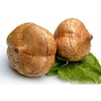 Turnip Sengkuang 1kg [KLANG VALLEY ONLY]