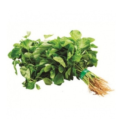 [PRE ORDER] Green Spinach (1 KG Per Unit)