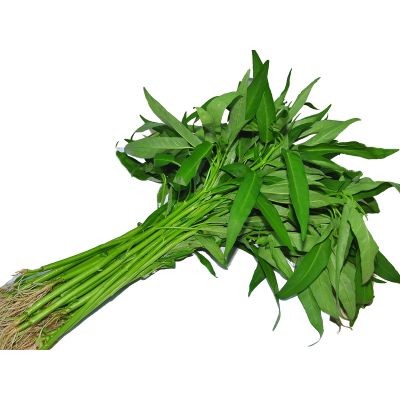 Kangkong Vegetable (sold by kg)