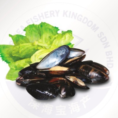 Full Shell Blue Mussel (1 Units Per Outer)