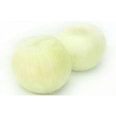 Peeled Yellow Onion (sold by kg)