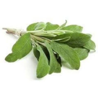 Sage 50g pack (sold by pack)
