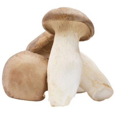 Eryngii Mushroom (1 packet) [KLANG VALLEY ONLY]