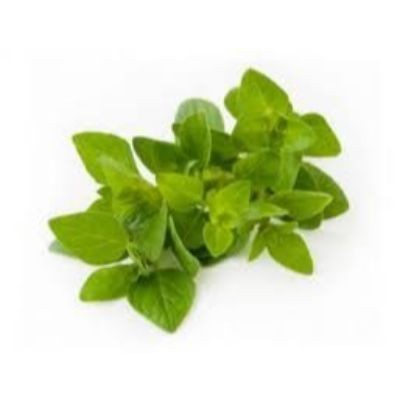 Oregano 50g pack (sold by pack)